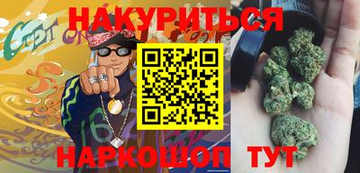 мдпв Камышлов