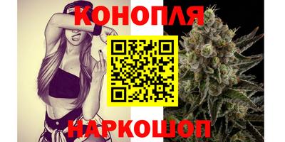 мдпв Камышлов