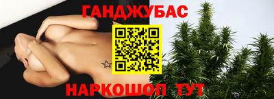 мдпв Камышлов