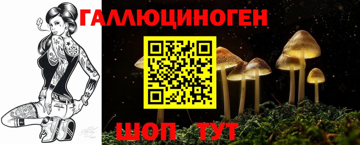 Псилоцибиновые грибы Psilocybine cubensis Великие Луки